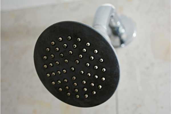 How long should I soak my shower head in vinegar?