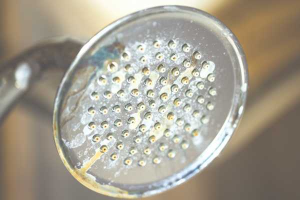 How to Clean Your Shower Head of Limescale?