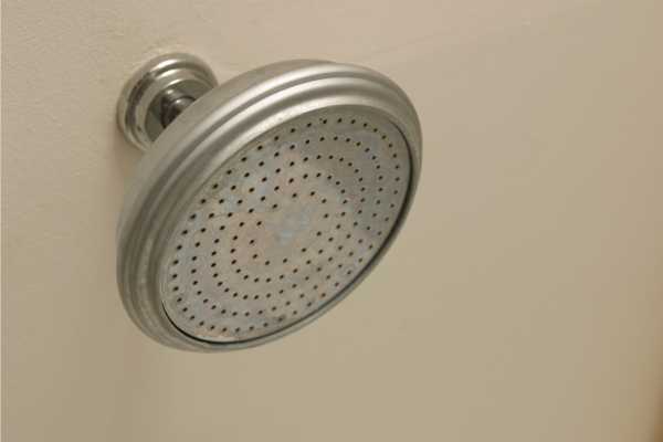 Reattach The Shower Head To The wall (if applicable)