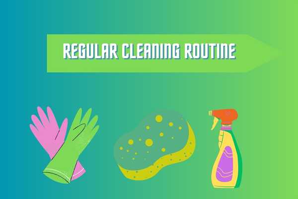 Regular Cleaning Routine