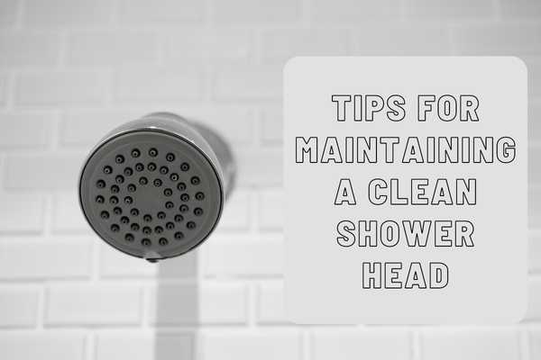 Tips For Maintaining A Clean Shower Head