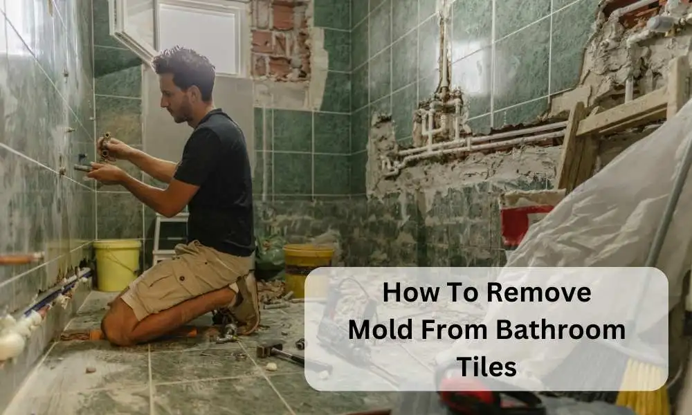 How To Remove Mold From Bathroom Tiles