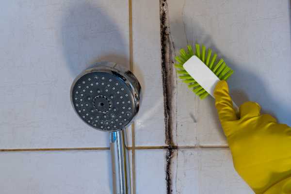 Remove Grout And Caulking
