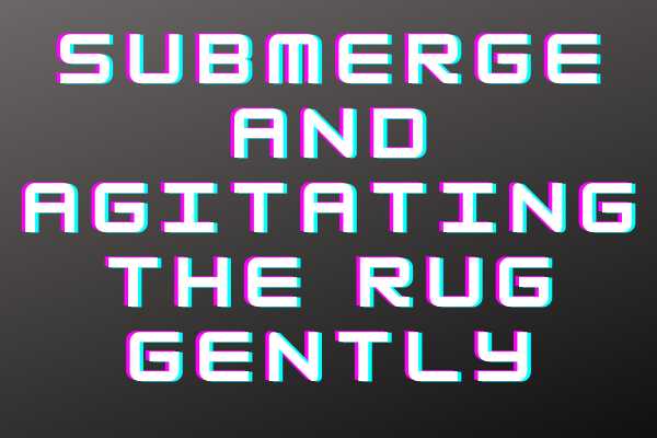 Submerge And Agitating The Rug Gently