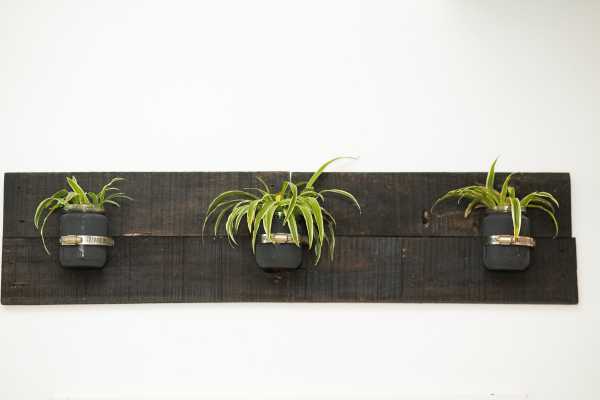 Wall-Mounted Mason Jar Planters