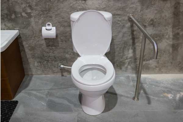 Benefits Of Toilet Seat With Handles