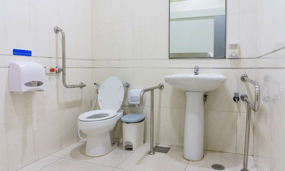 Handicap Toilet Seat Risers With Handles