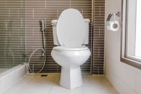 How Do Elongated Toilet Seat Risers Enhance Bathroom Accessibility?