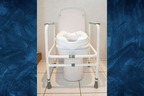 Padded Toilet Seat Riser