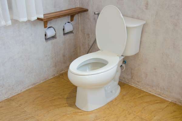 Choosing the Right Toilet for Your Home