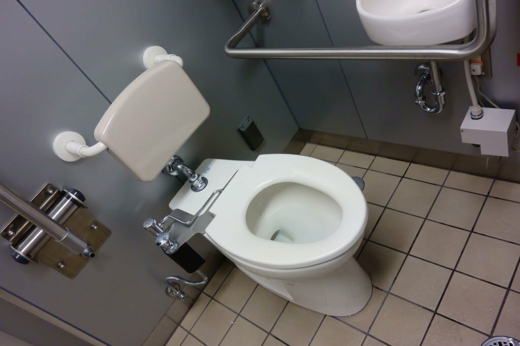 What Is The Purpose Of Elevated Toilet Seats