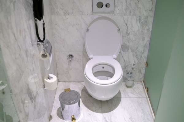 Standard Toilet Seat