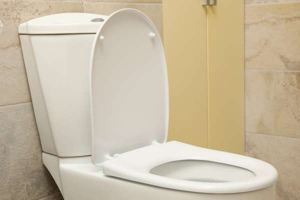 The Evolution Of Toilet Seats
