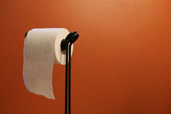 Placement Tips for Toilet Paper Holders