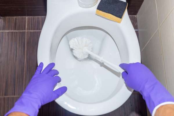 Importance of Choosing the Right Toilet Brush