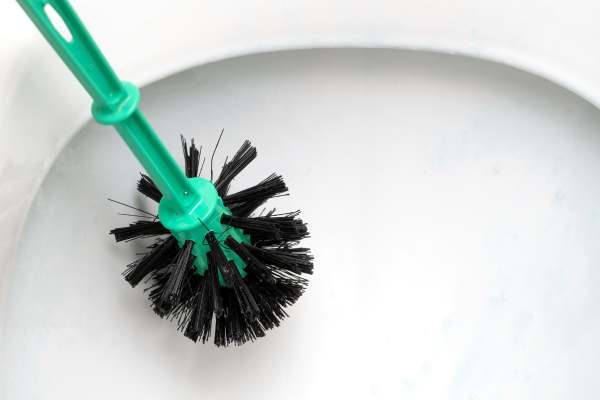 Components Of A Toilet Brush
