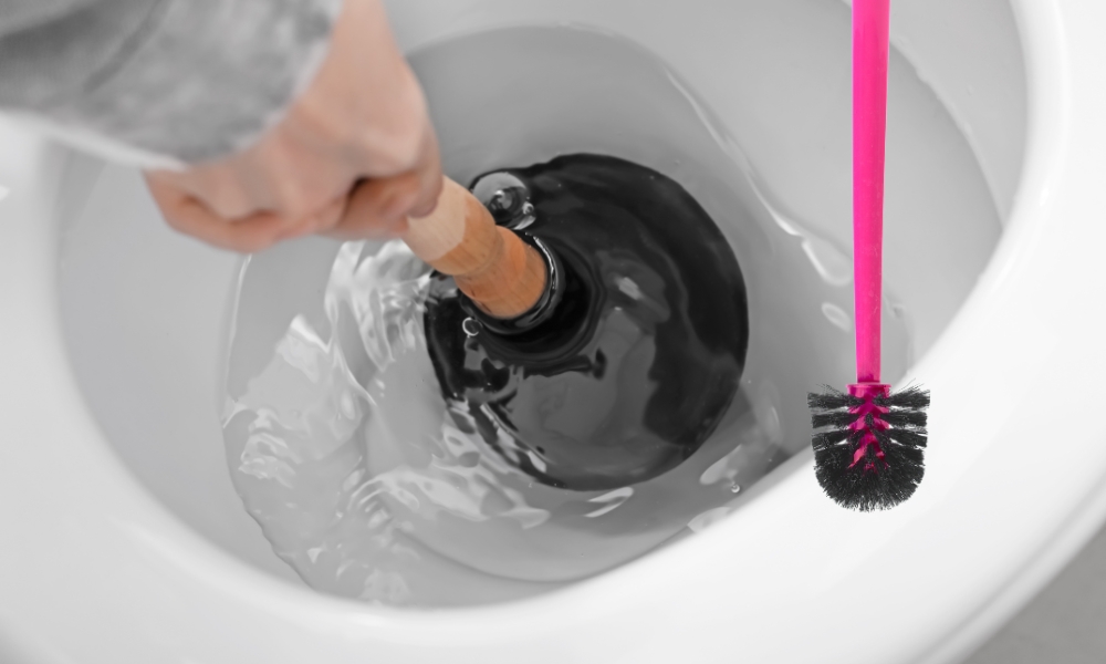 How To Clean Plunger And Toilet Brush