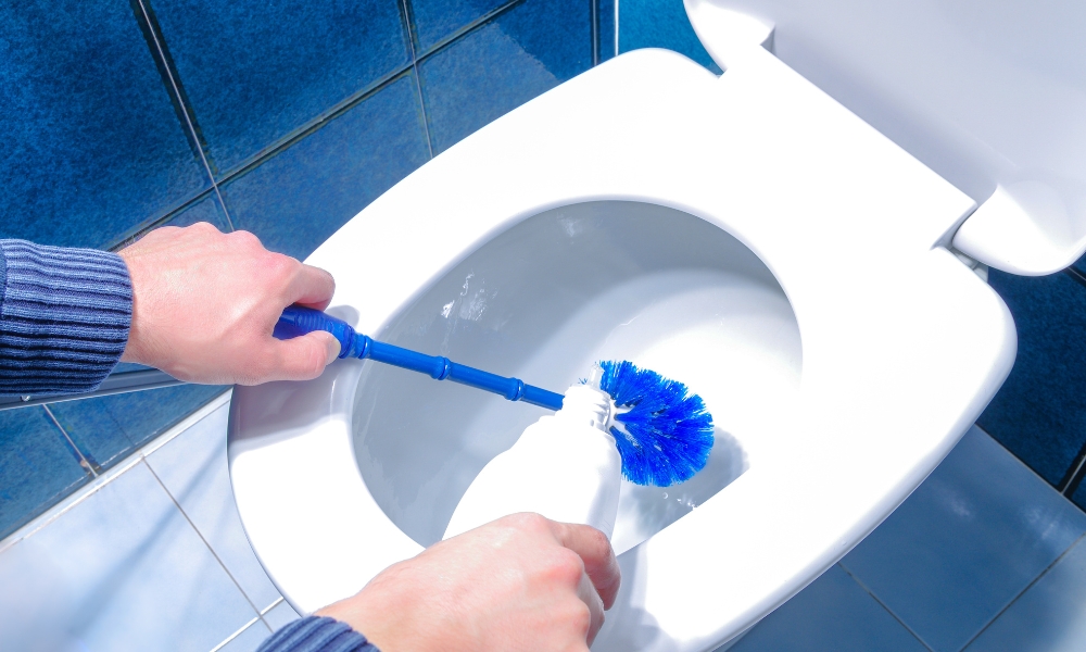 How Often Change Toilet Brush