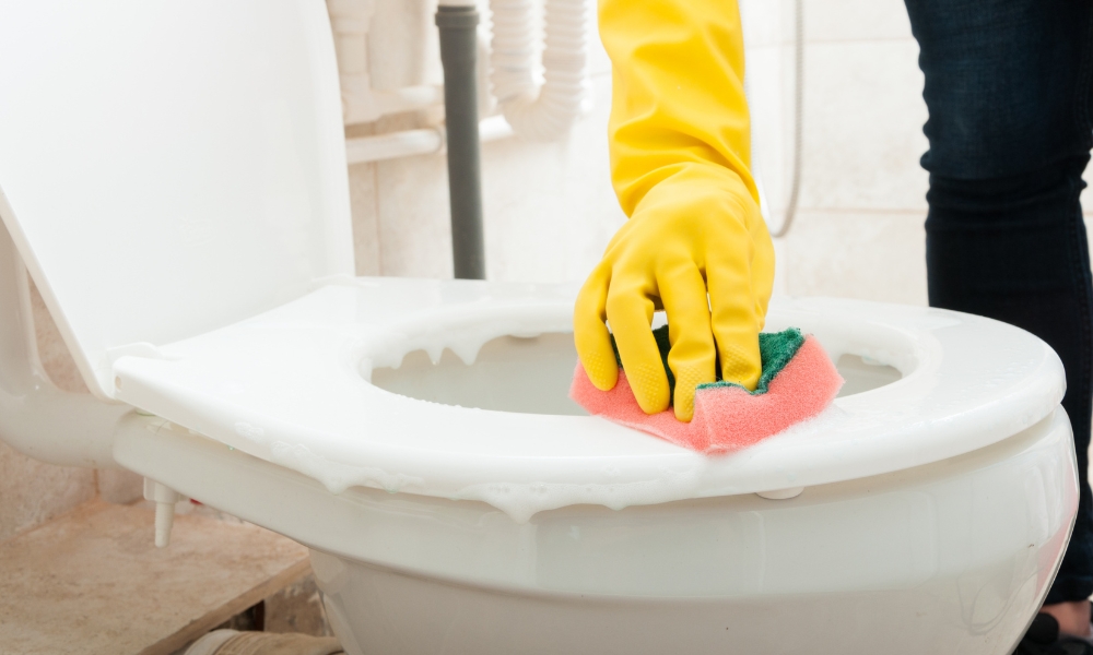 How To Clean The Toilet Without A Brush