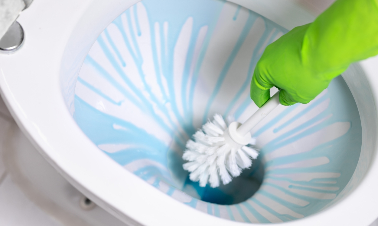 How To Clean Toilet Brush After Use